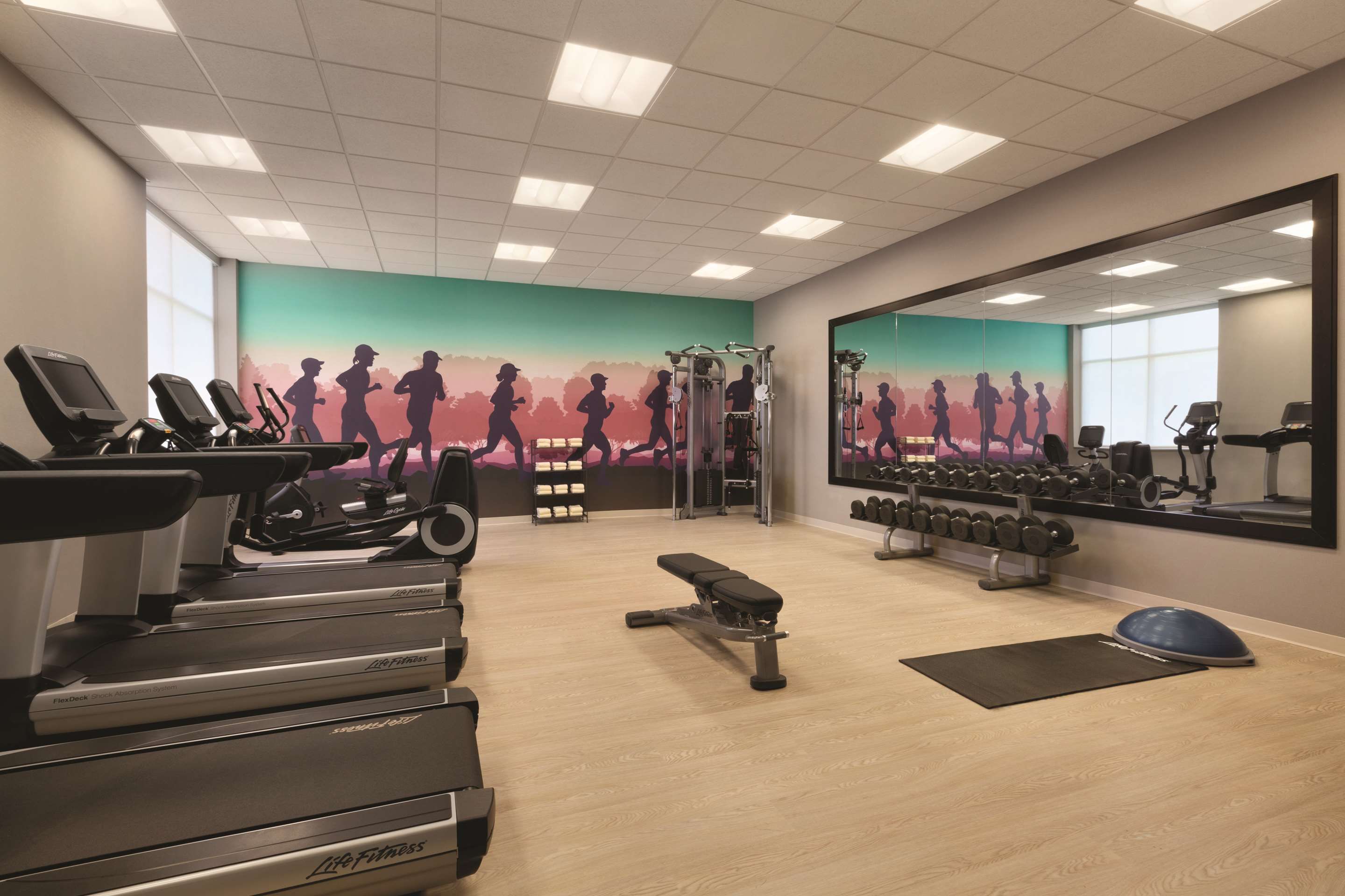 Gym