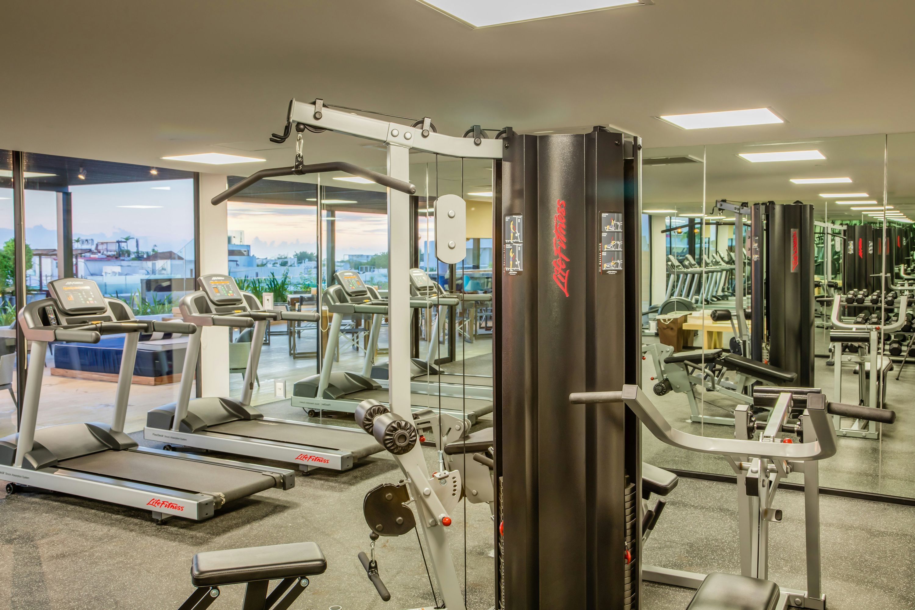 Gym