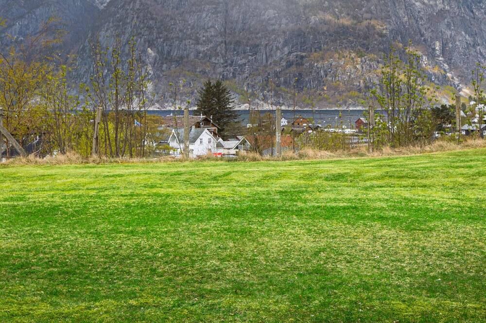 Outdoor view
