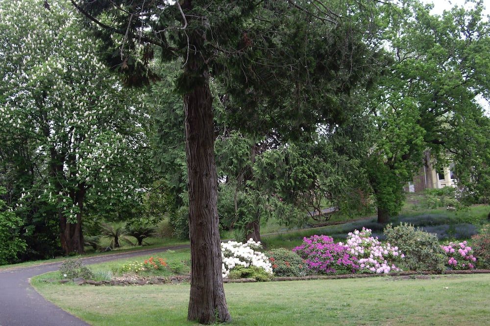 Outdoor view