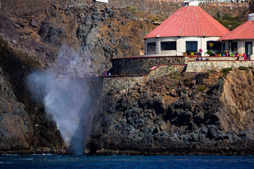Other