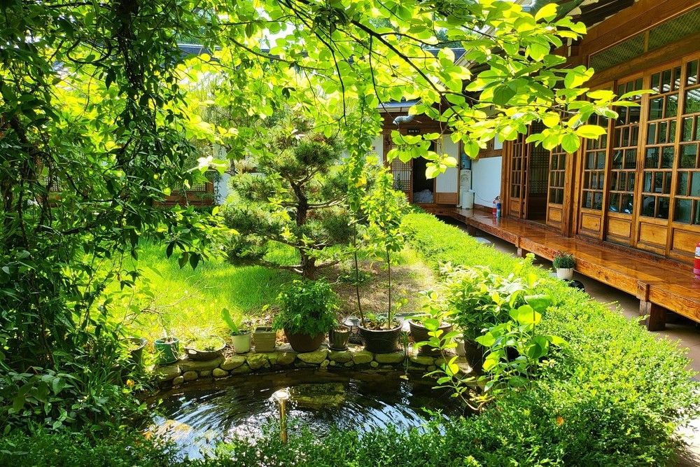 Outdoor view