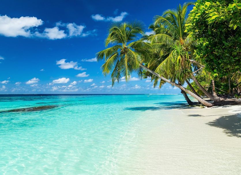 Beach Photo