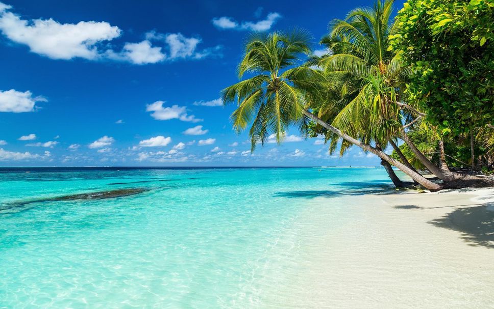 Beach Photo