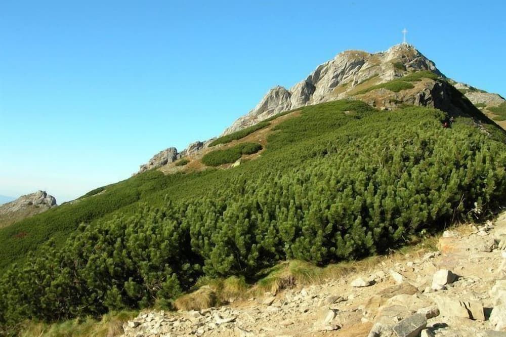 Outdoor view