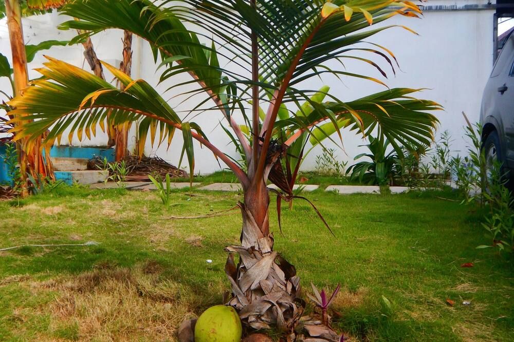 Outdoor view