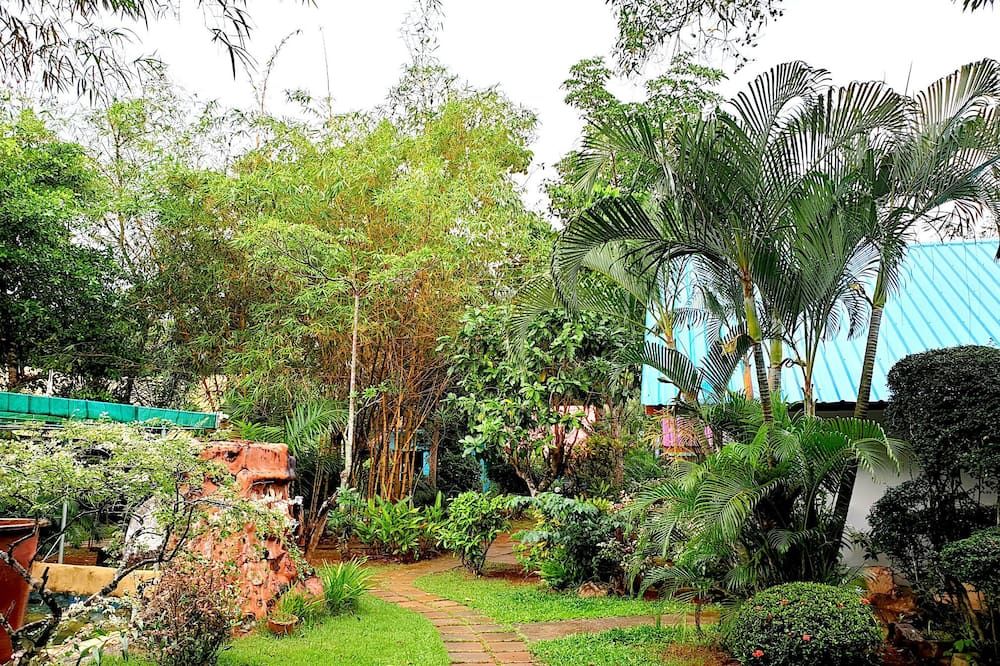 Outdoor view
