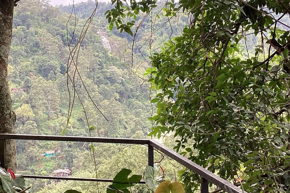 Outdoor view