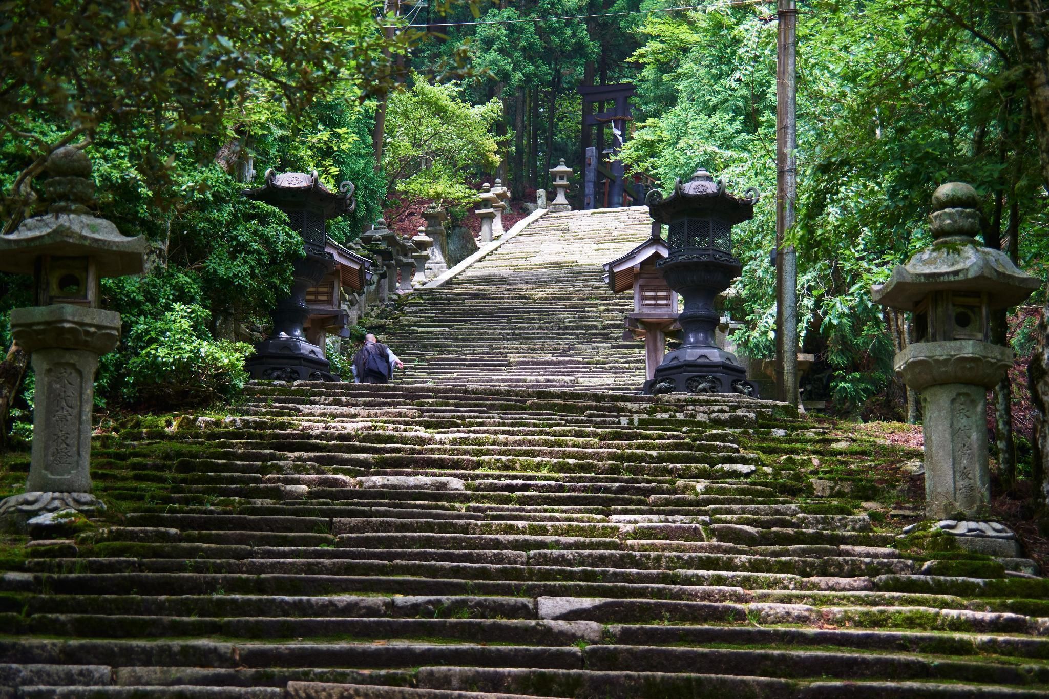 Outdoor view
