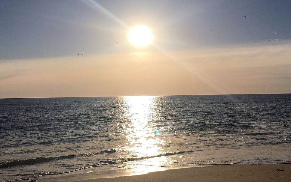 Beach Photo