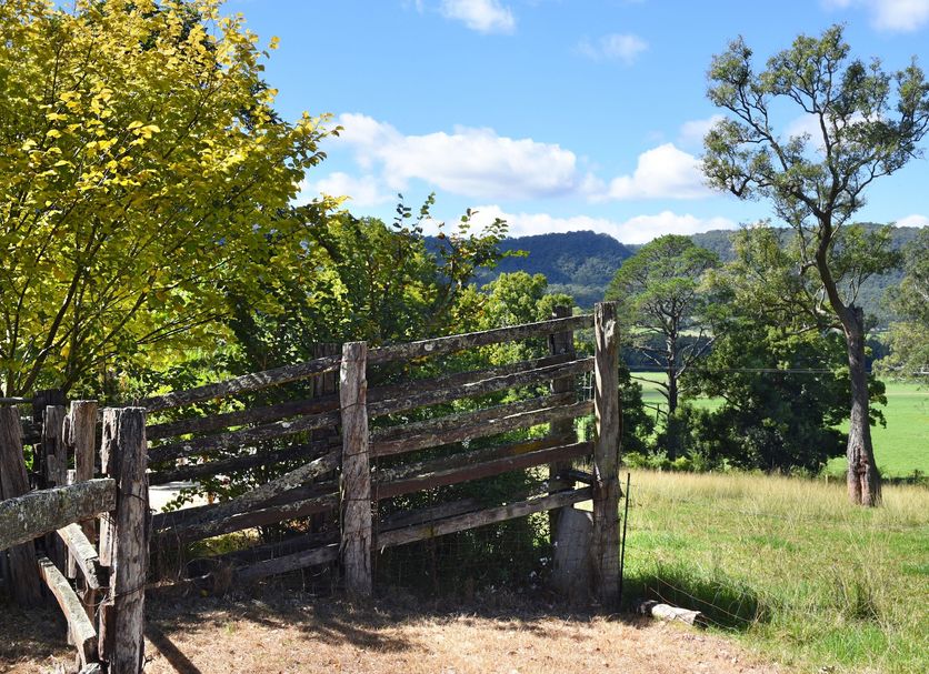 Outdoor view Photo