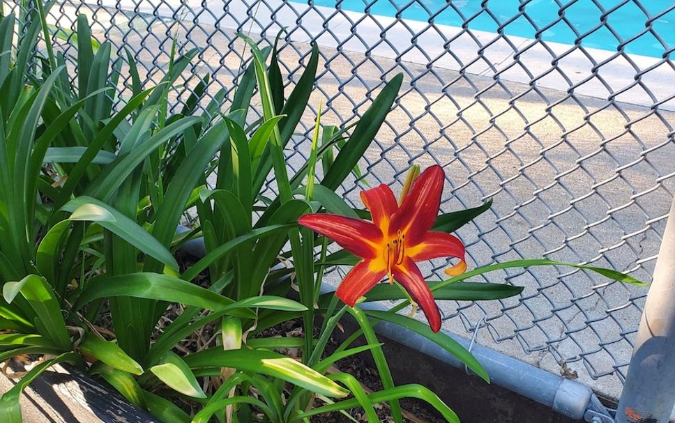 Outdoor view Photo
