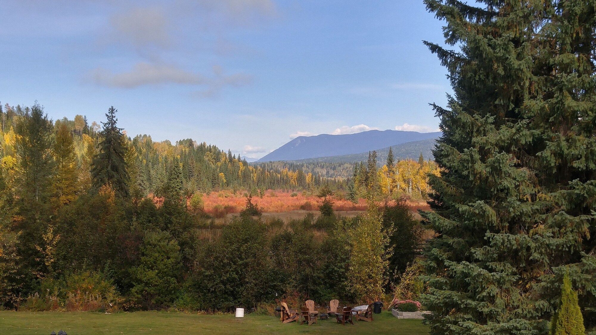 Outdoor view