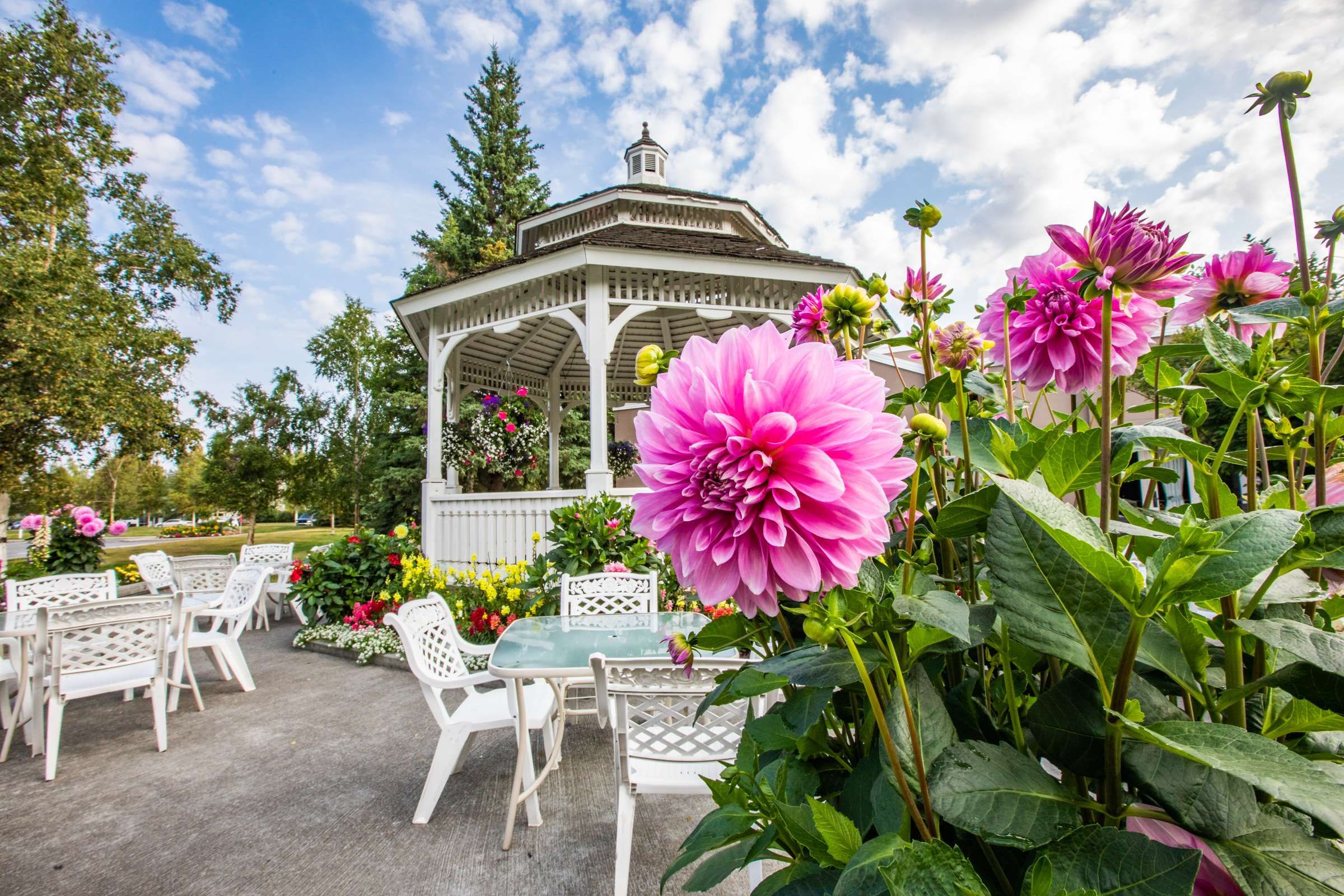 Patio