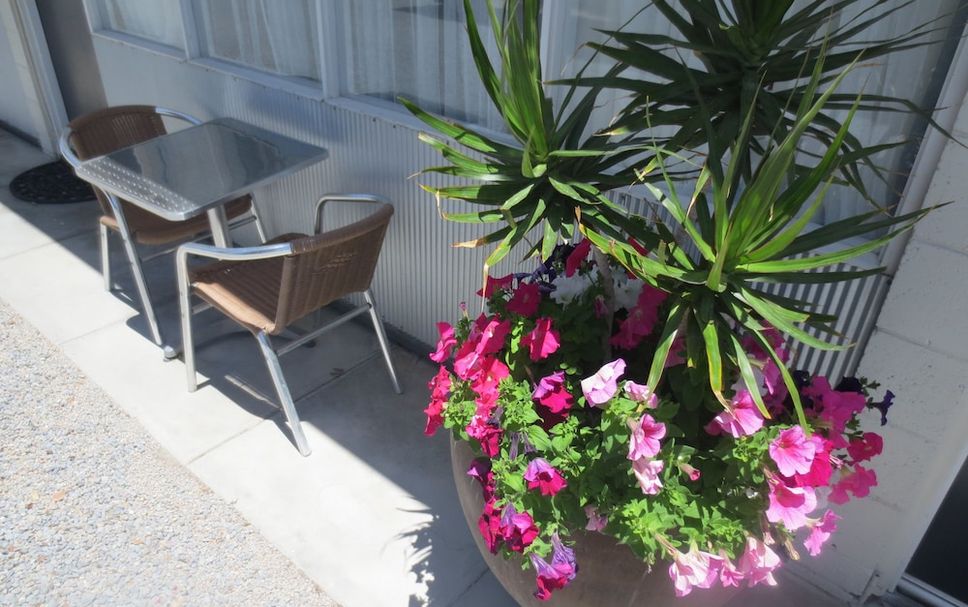 Patio Photo