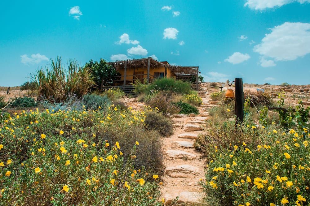Outdoor view