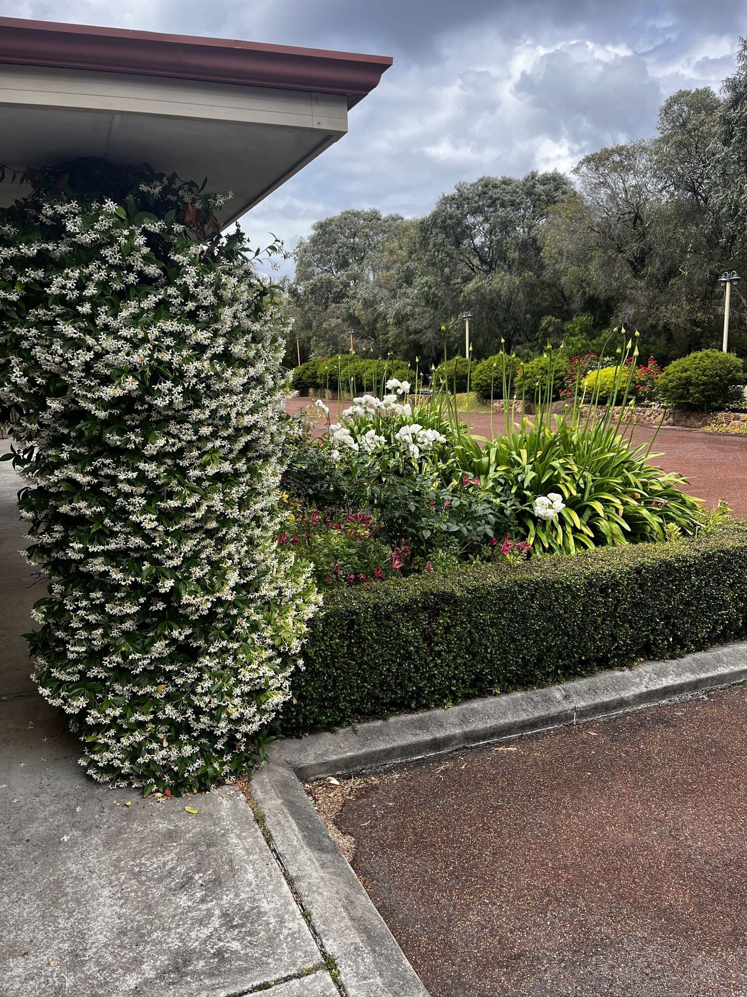 Outdoor view