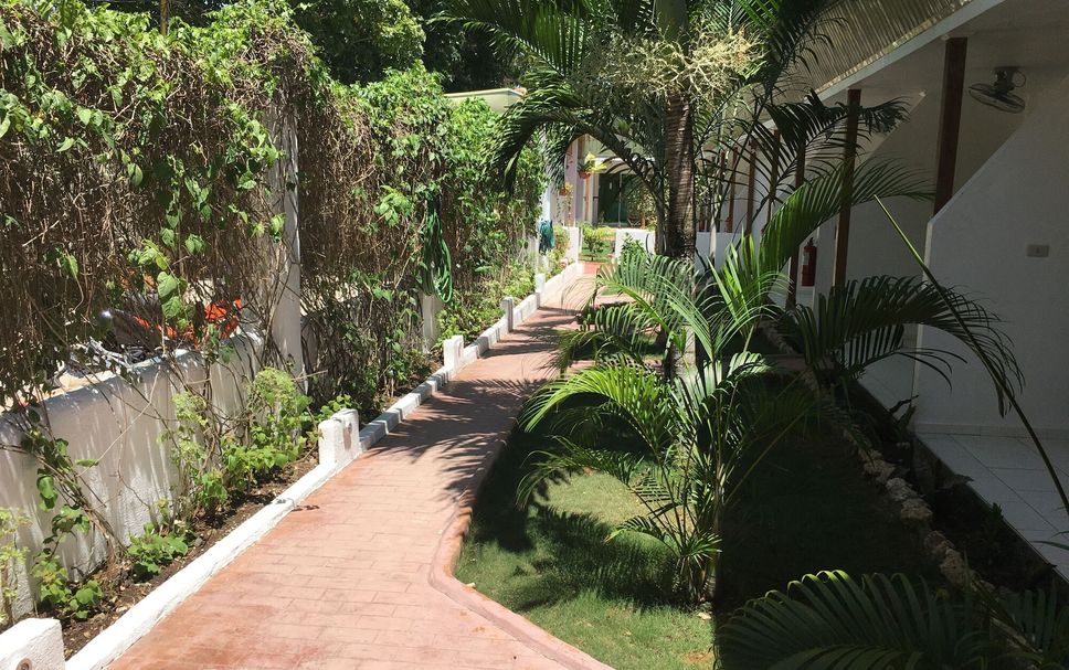 Other Photo