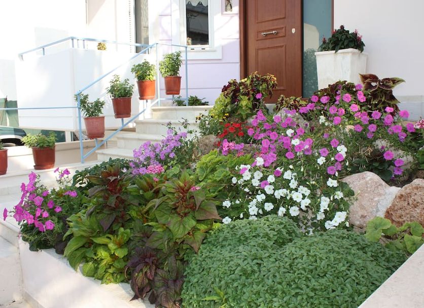 Outdoor view Photo