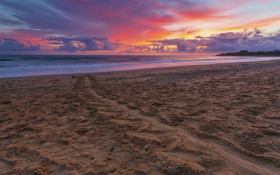Beach Photo