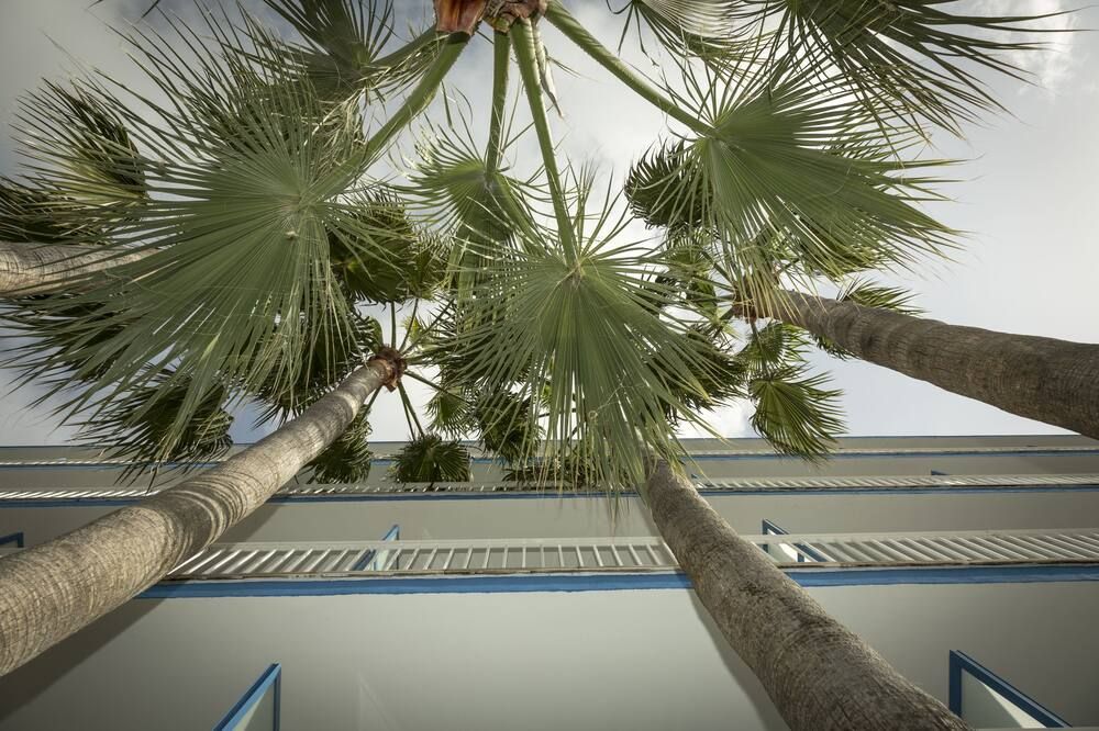 Outdoor view