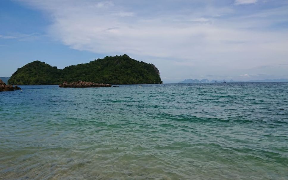Other Photo