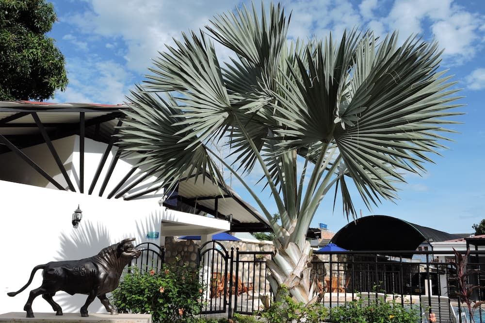 Outdoor view
