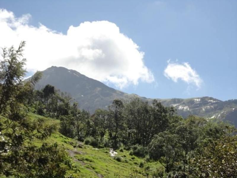 Outdoor view