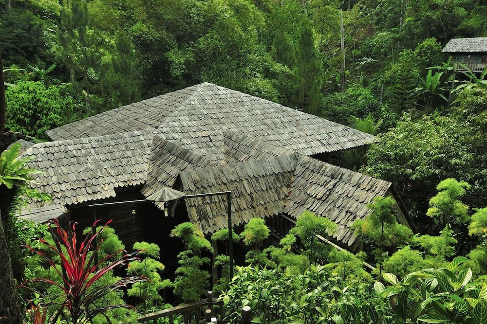 Outdoor view