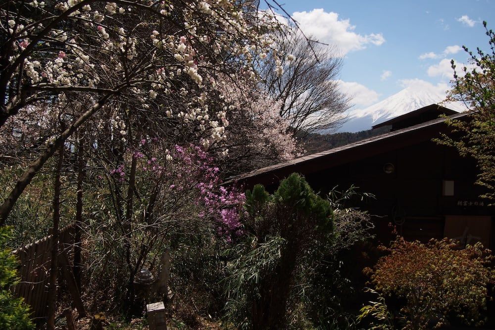 Outdoor view