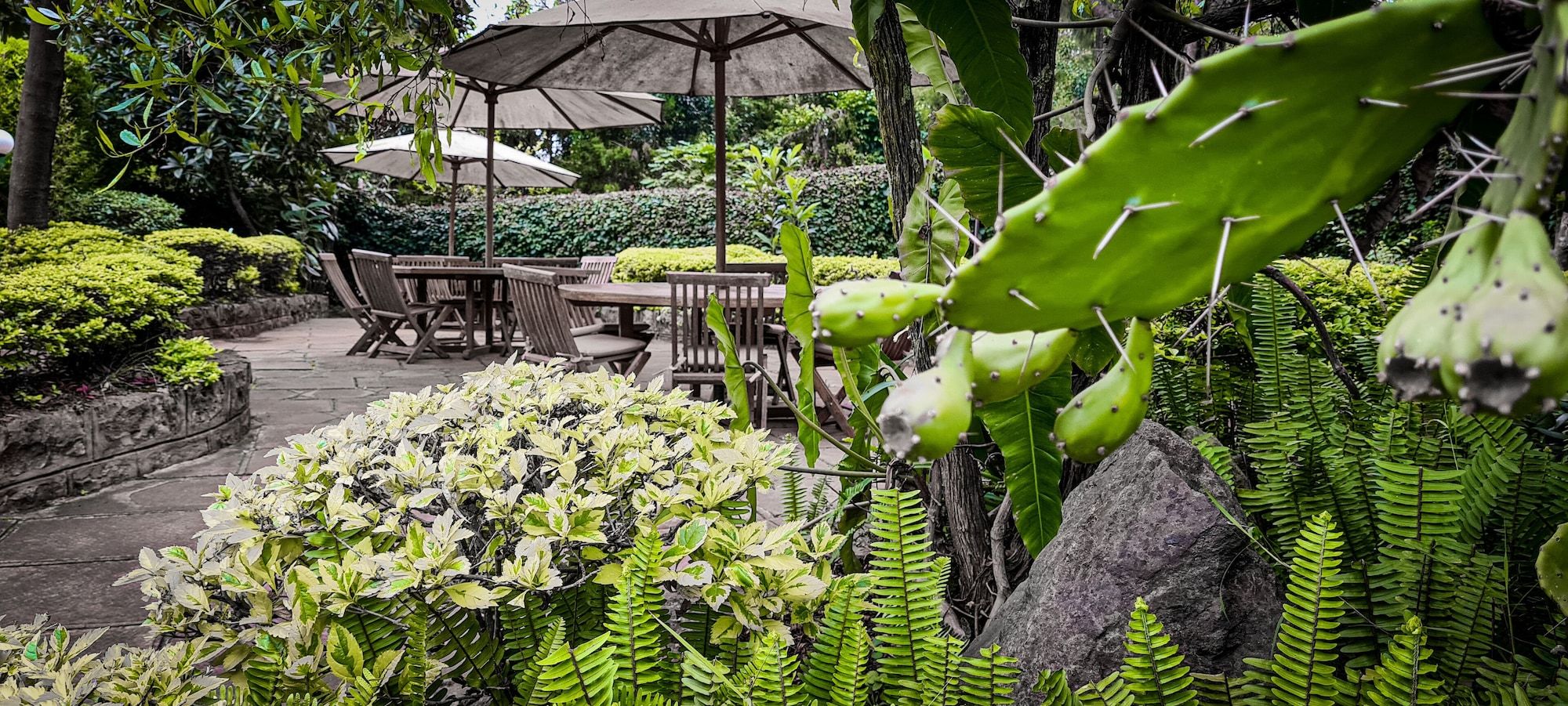 Patio Photo
