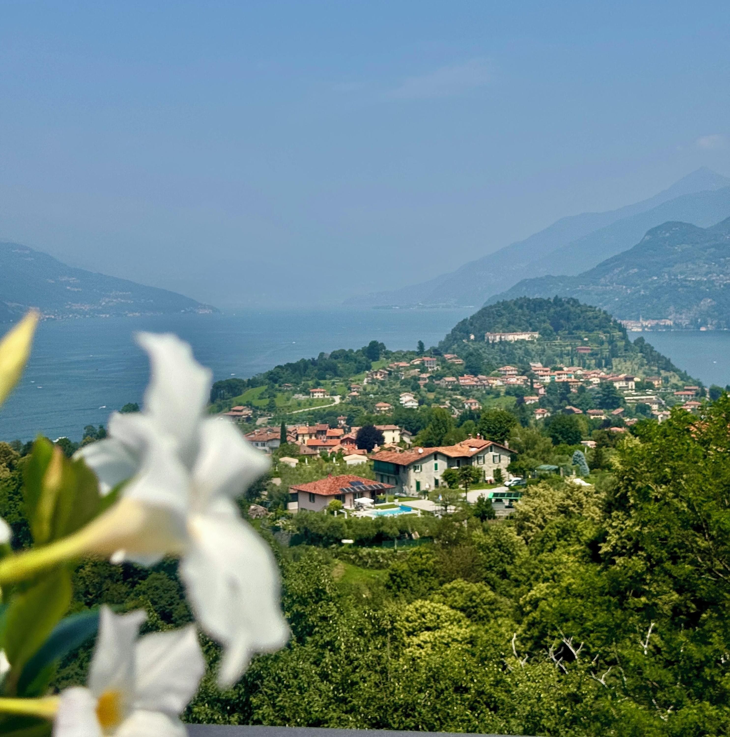 Outdoor view