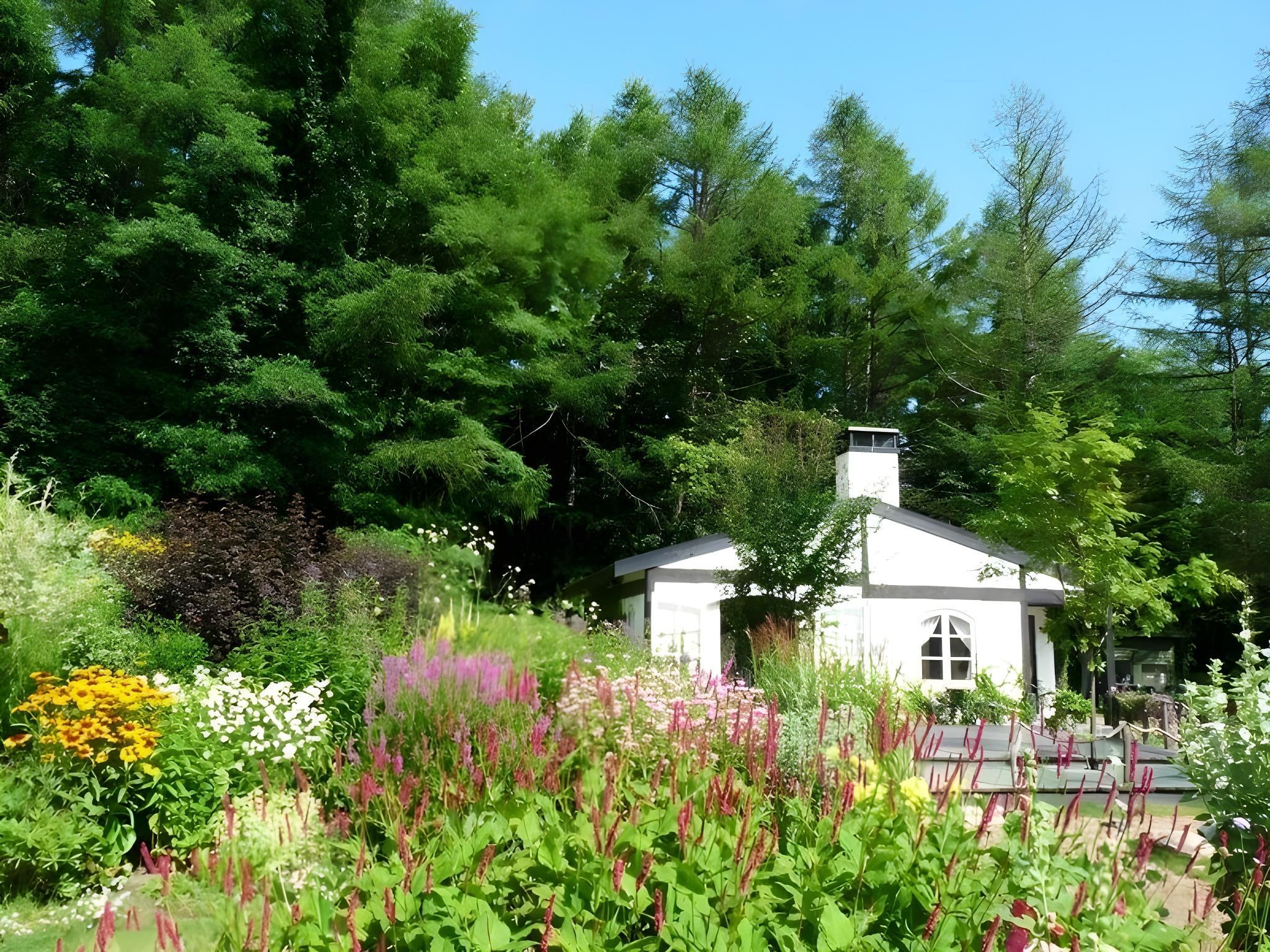 Outdoor view