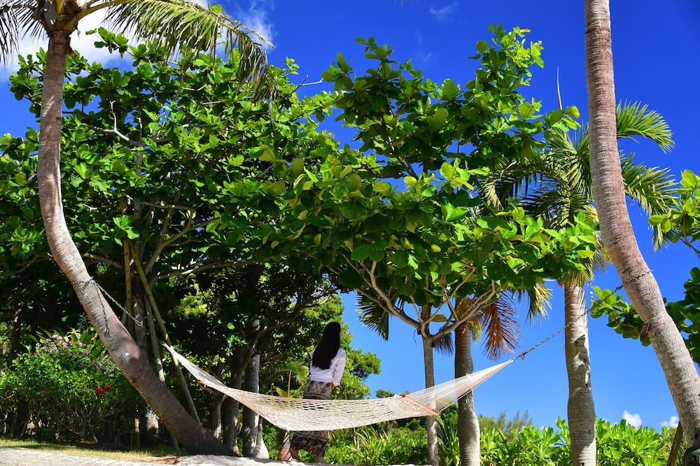 Outdoor view