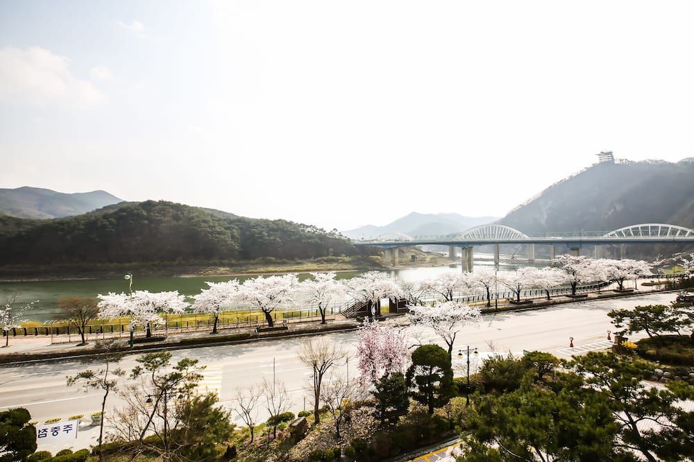 Outdoor view