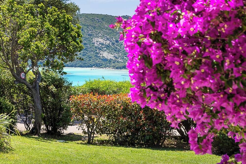 Outdoor view