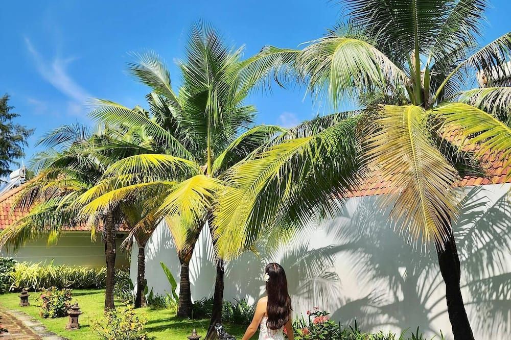 Outdoor view