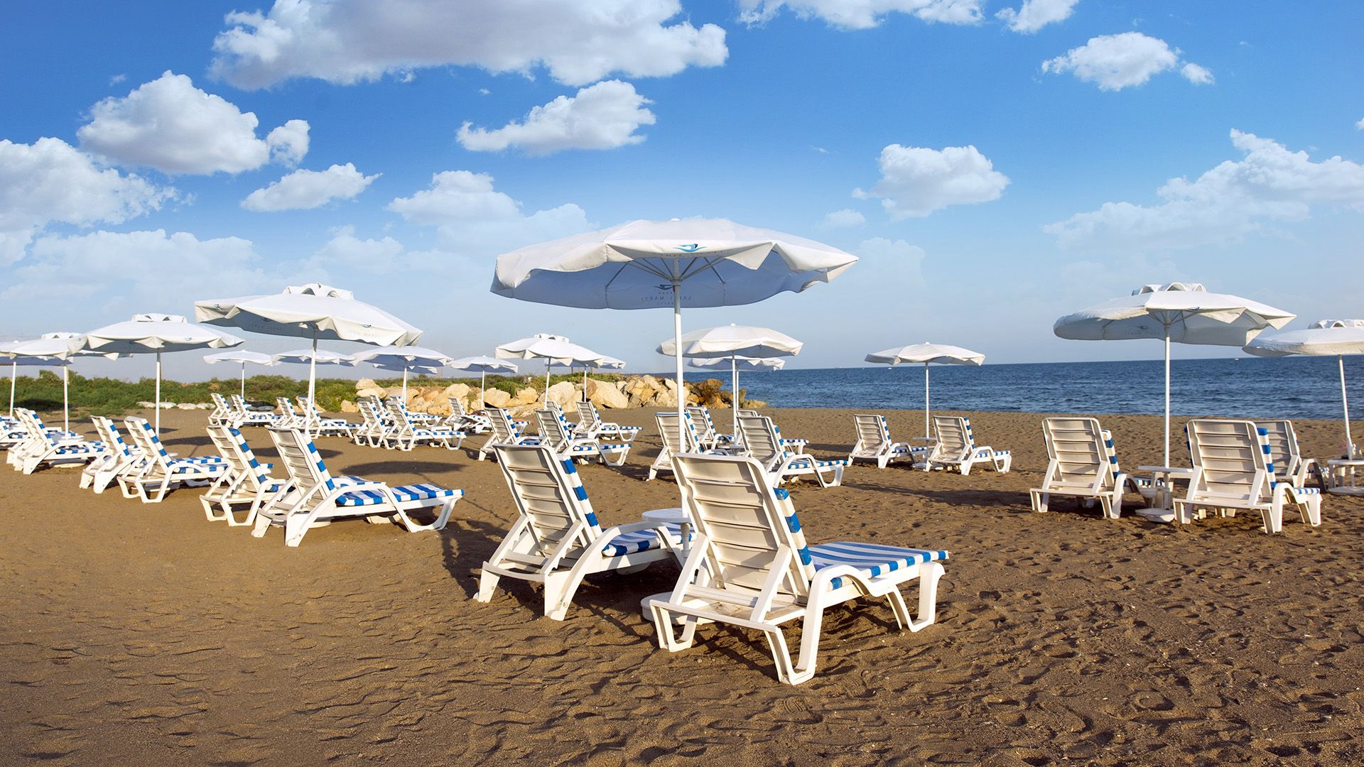 Beach Photo