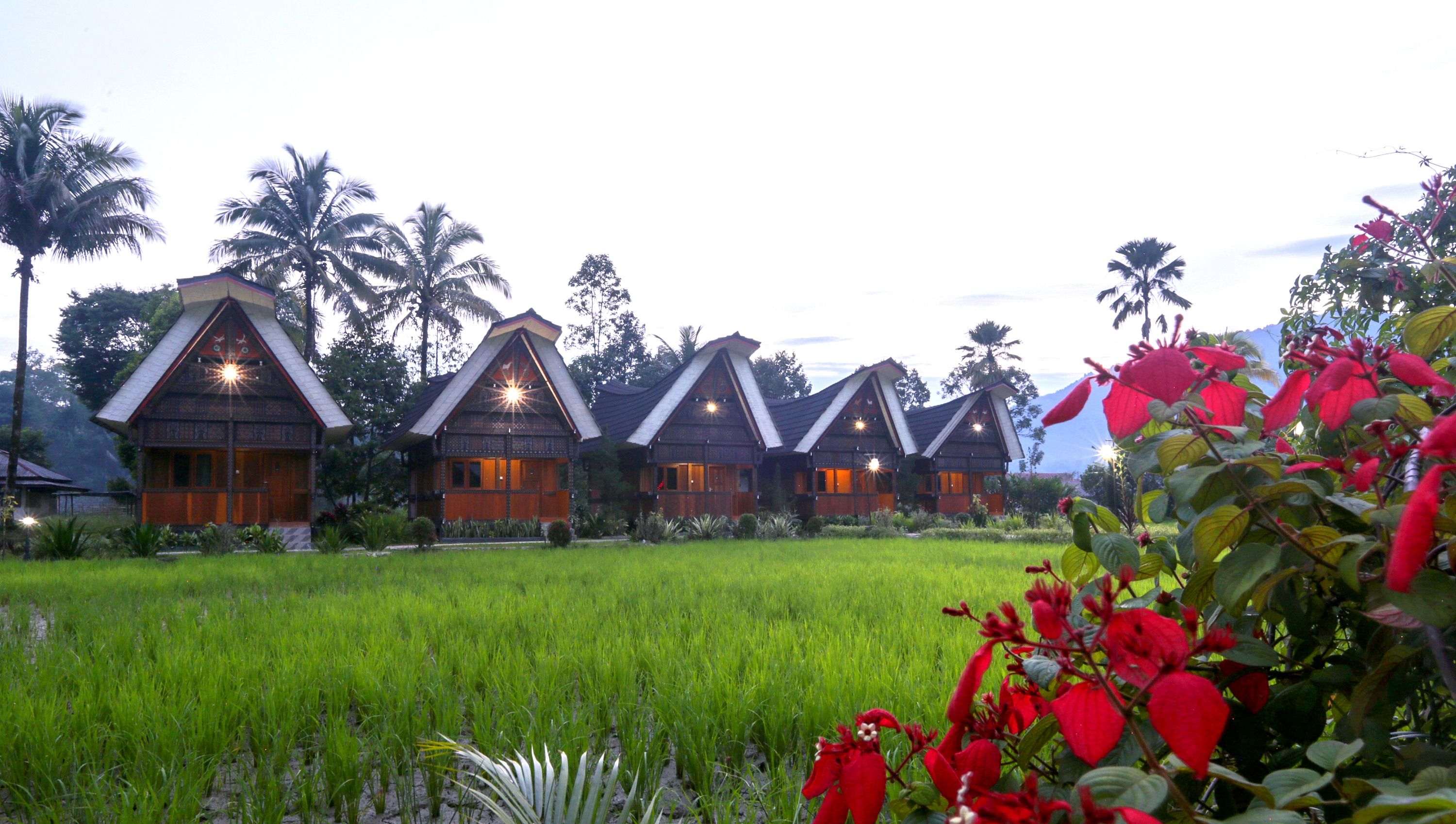 Outdoor view