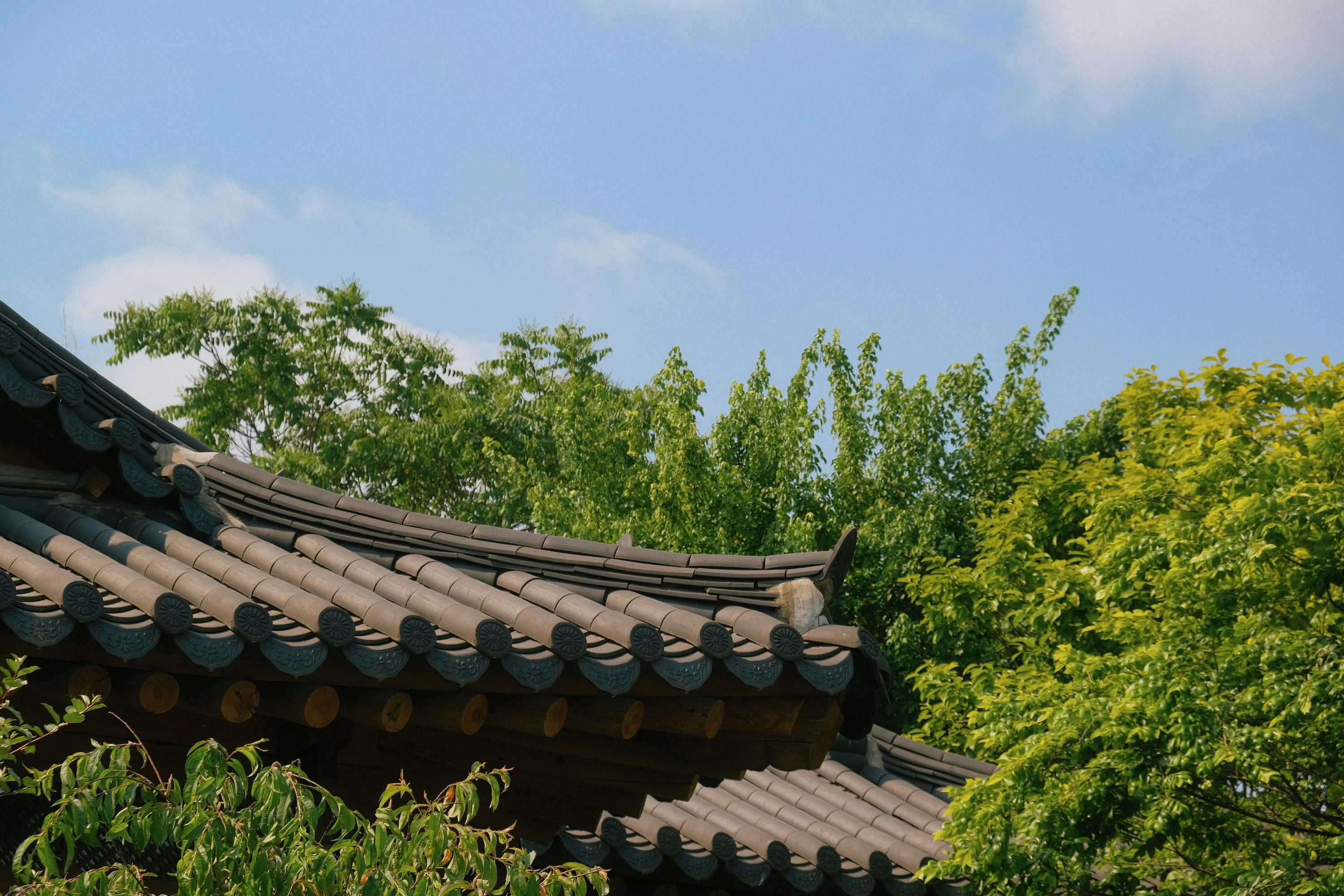Outdoor view