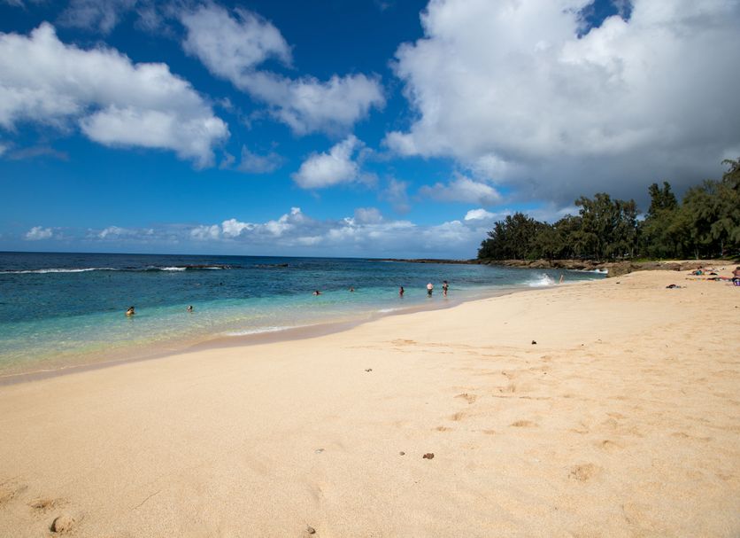 Beach Photo