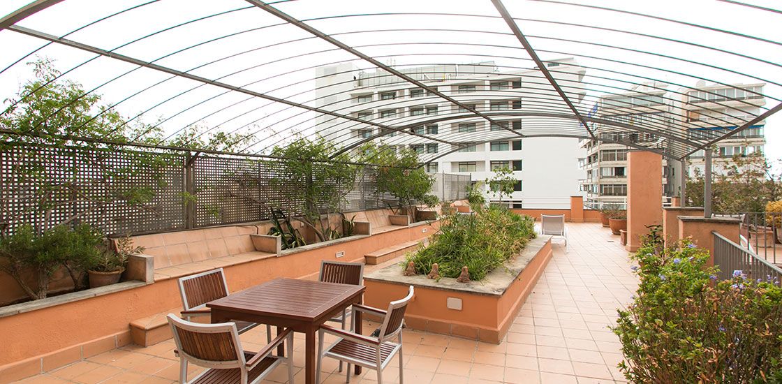 Patio Photo